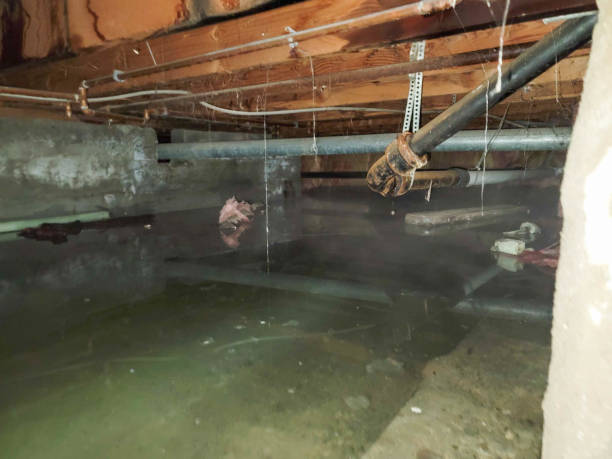 Best Commercial water damage restoration  in Pierce City, MO