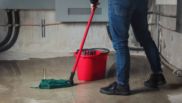 Reliable Pierce City, MO Water damage restoration Solutions