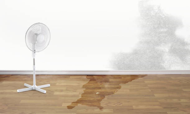 Best Water damage restoration services  in Pierce City, MO