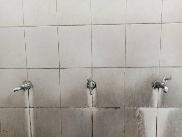 Carpet water damage restoration in Pierce City, MO
