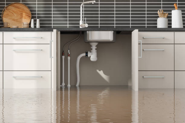 Best Water damage contractors near me  in Pierce City, MO